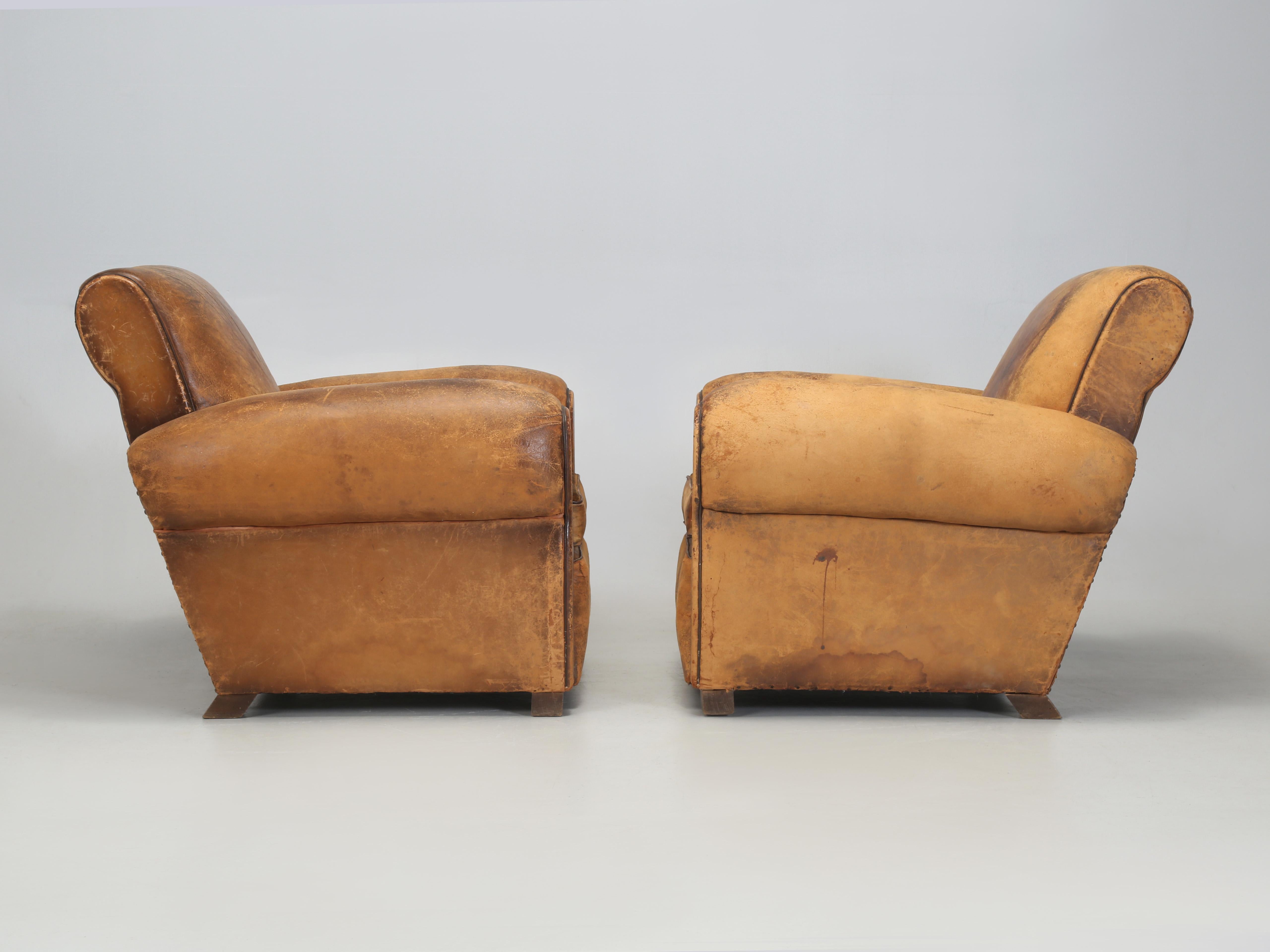 French Leather Club Chairs Restored Internally Horsehair Original Velvet Cushion 10