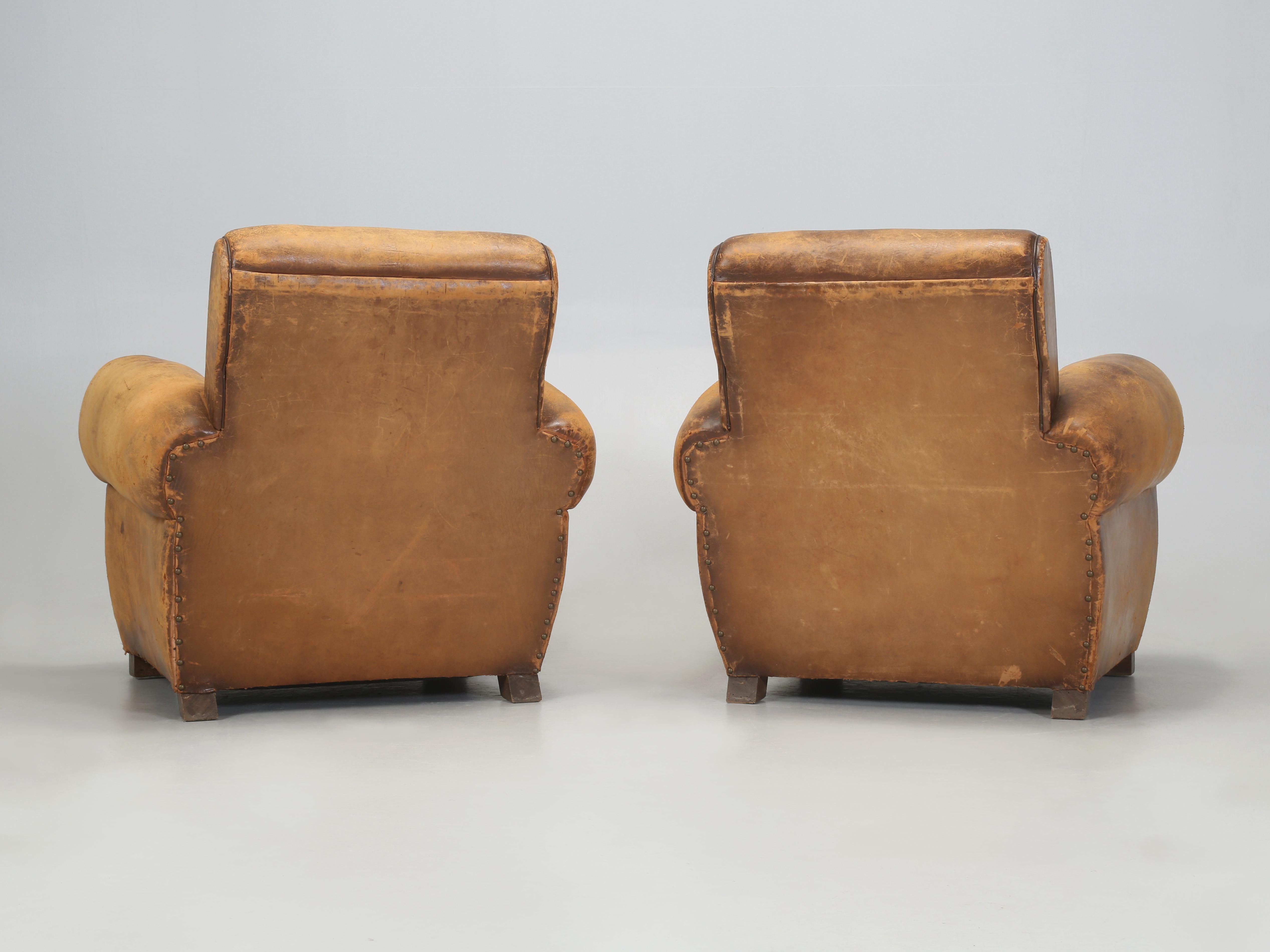 French Leather Club Chairs Restored Internally Horsehair Original Velvet Cushion 11