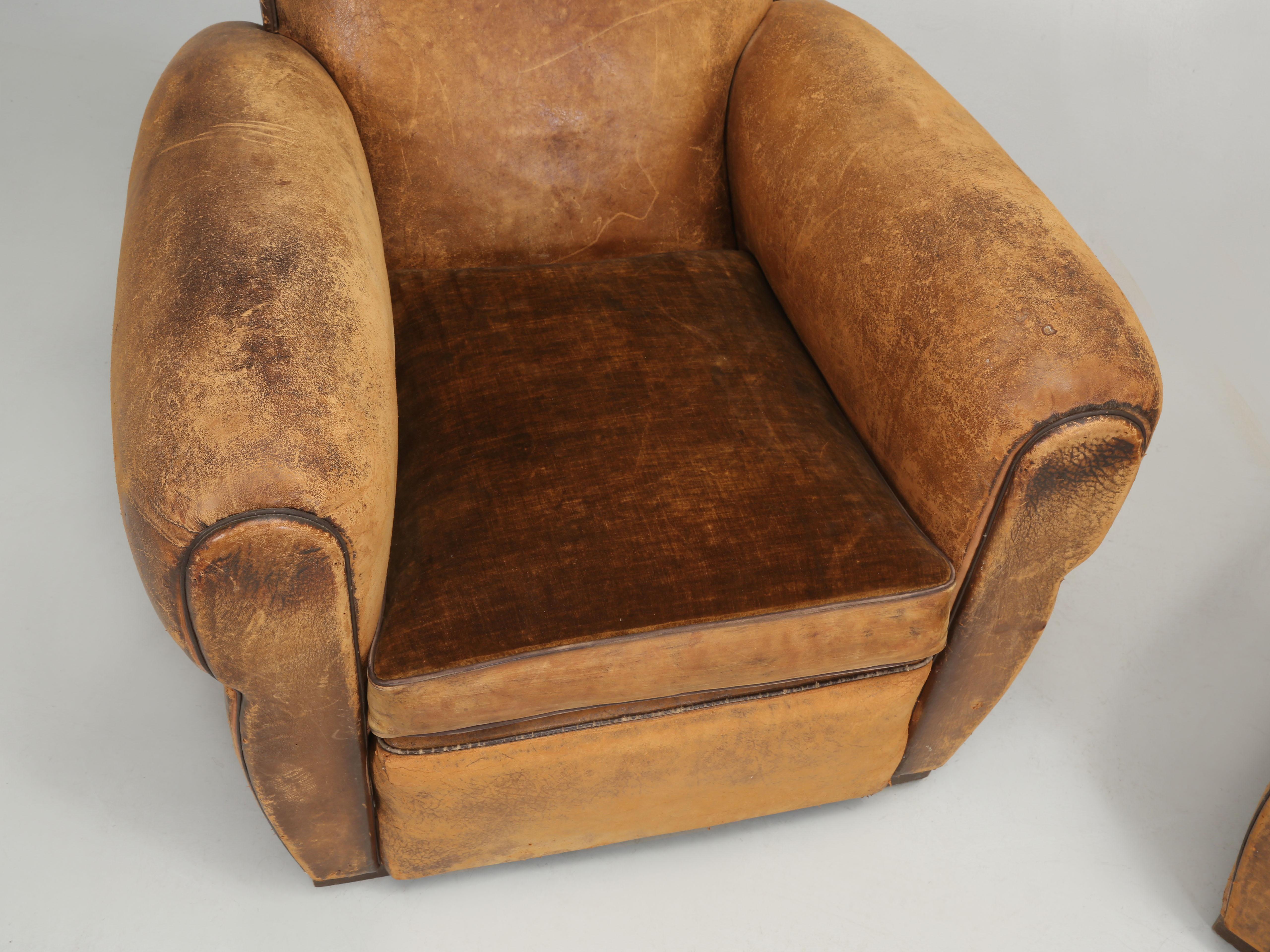 French Leather Club Chairs Restored Internally Horsehair Original Velvet Cushion In Good Condition In Chicago, IL