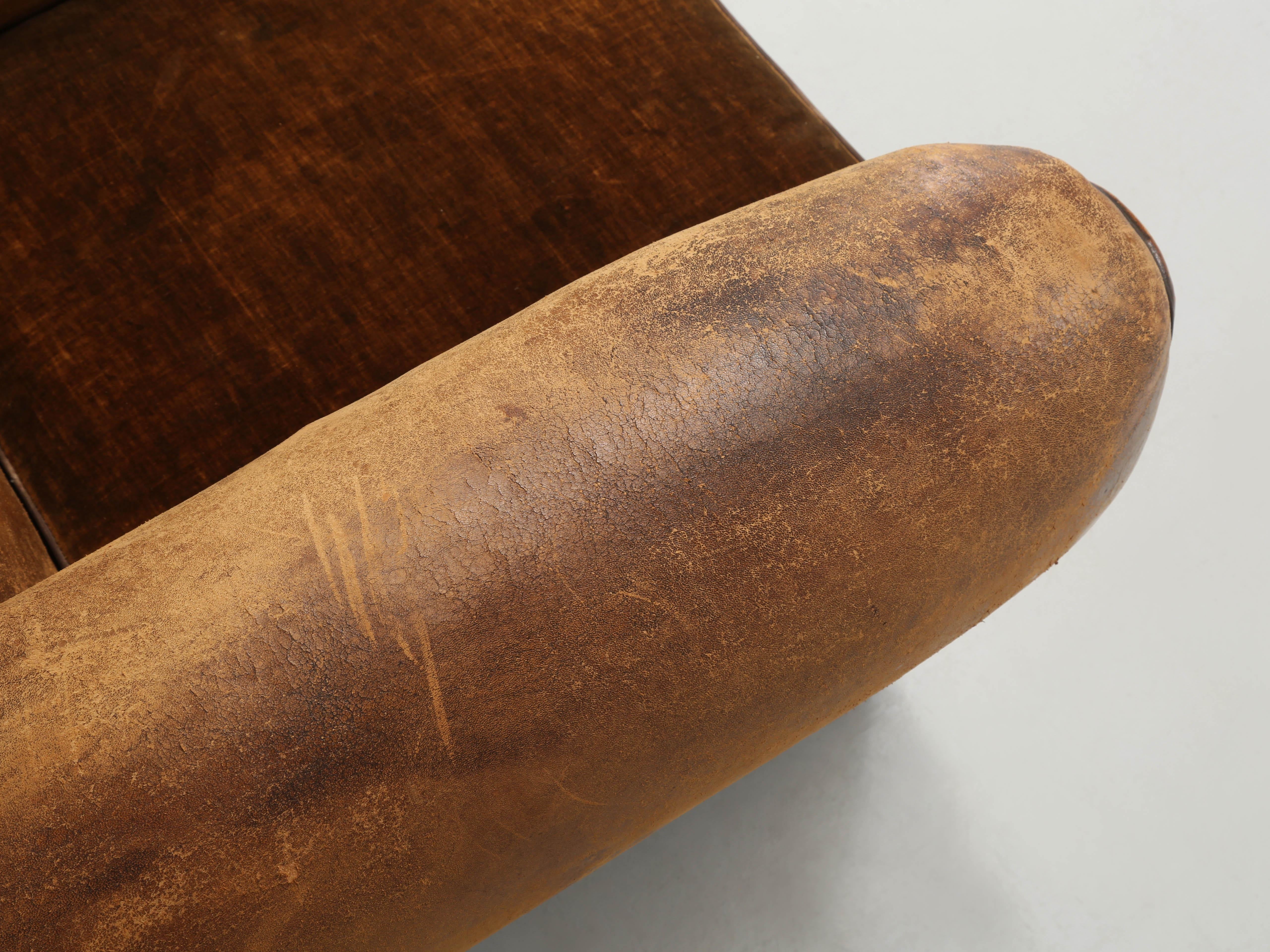 French Leather Club Chairs Restored Internally Horsehair Original Velvet Cushion 2