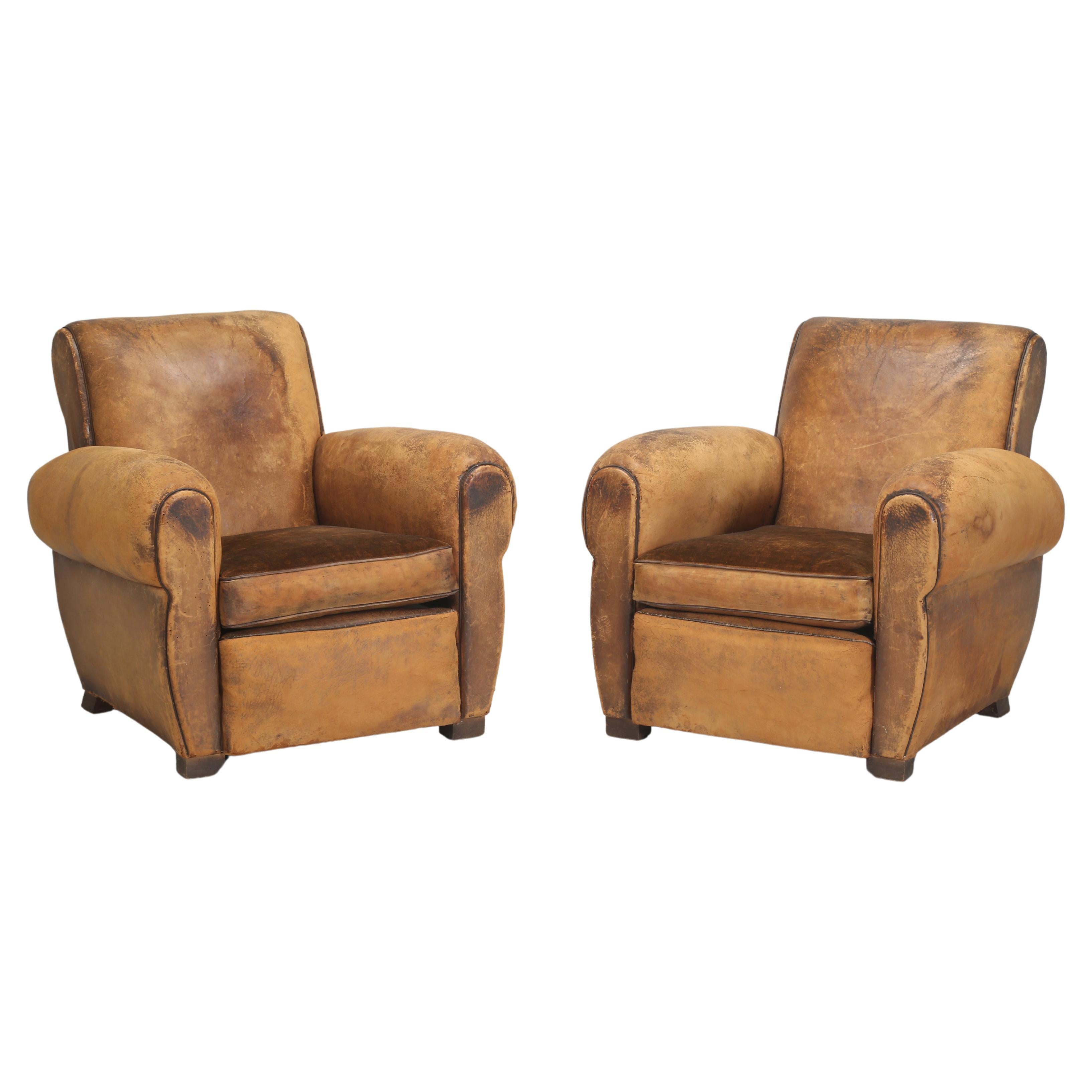 French Leather Club Chairs Restored Internally Horsehair Original Velvet Cushion For Sale