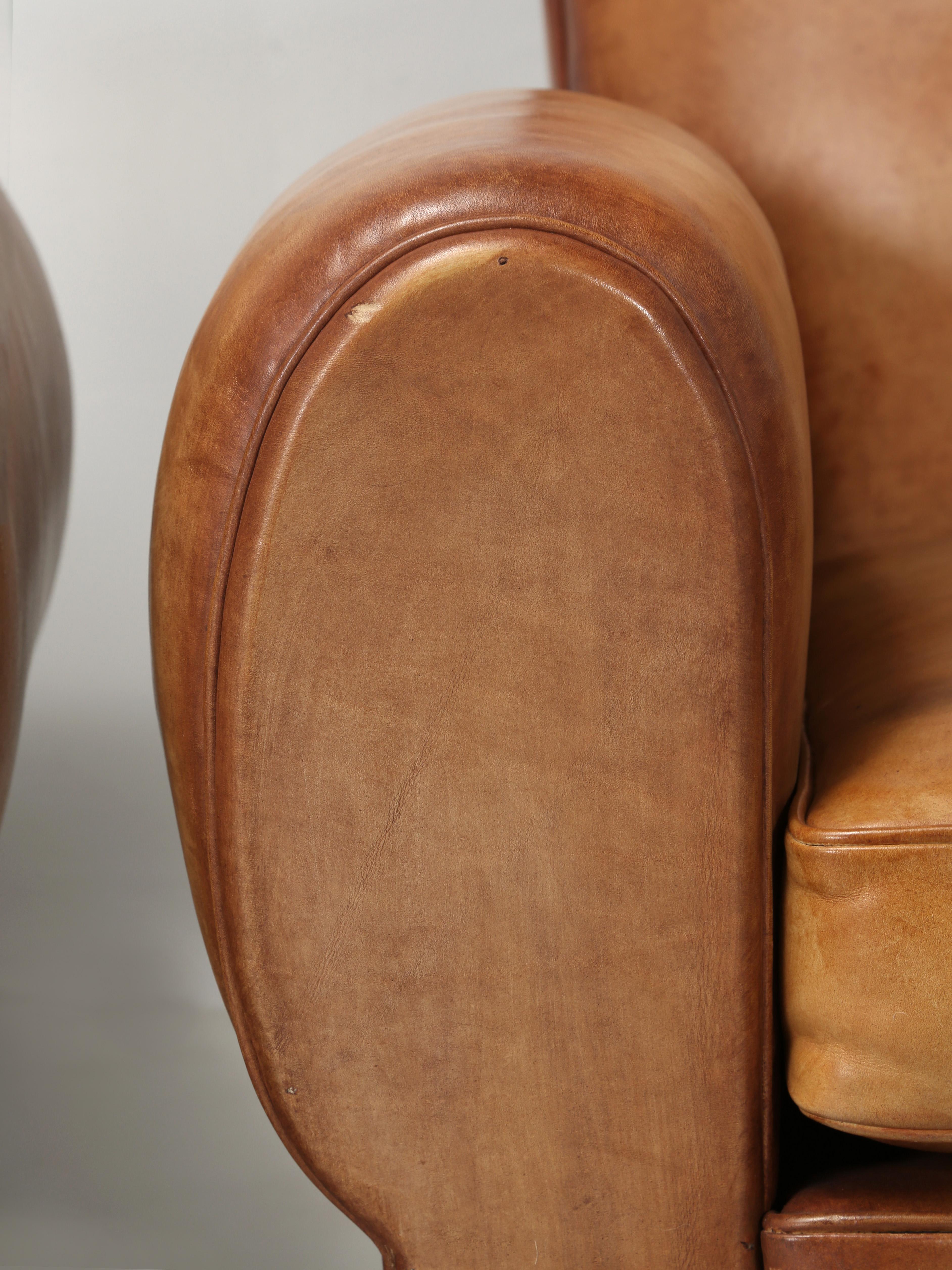 French Leather Club Chairs, Set of '4' Restored with New Leather and Horsehair 6