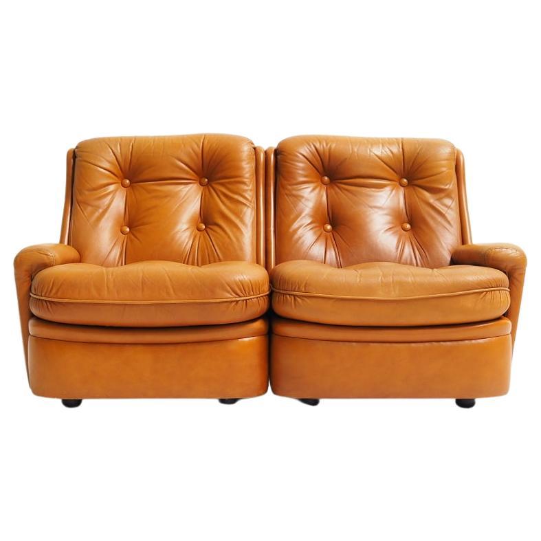French Leather Two-Seater by Michel Cadestin for Airborne