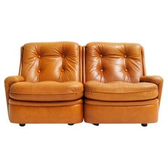 French Leather Two-Seater by Michel Cadestin for Airborne