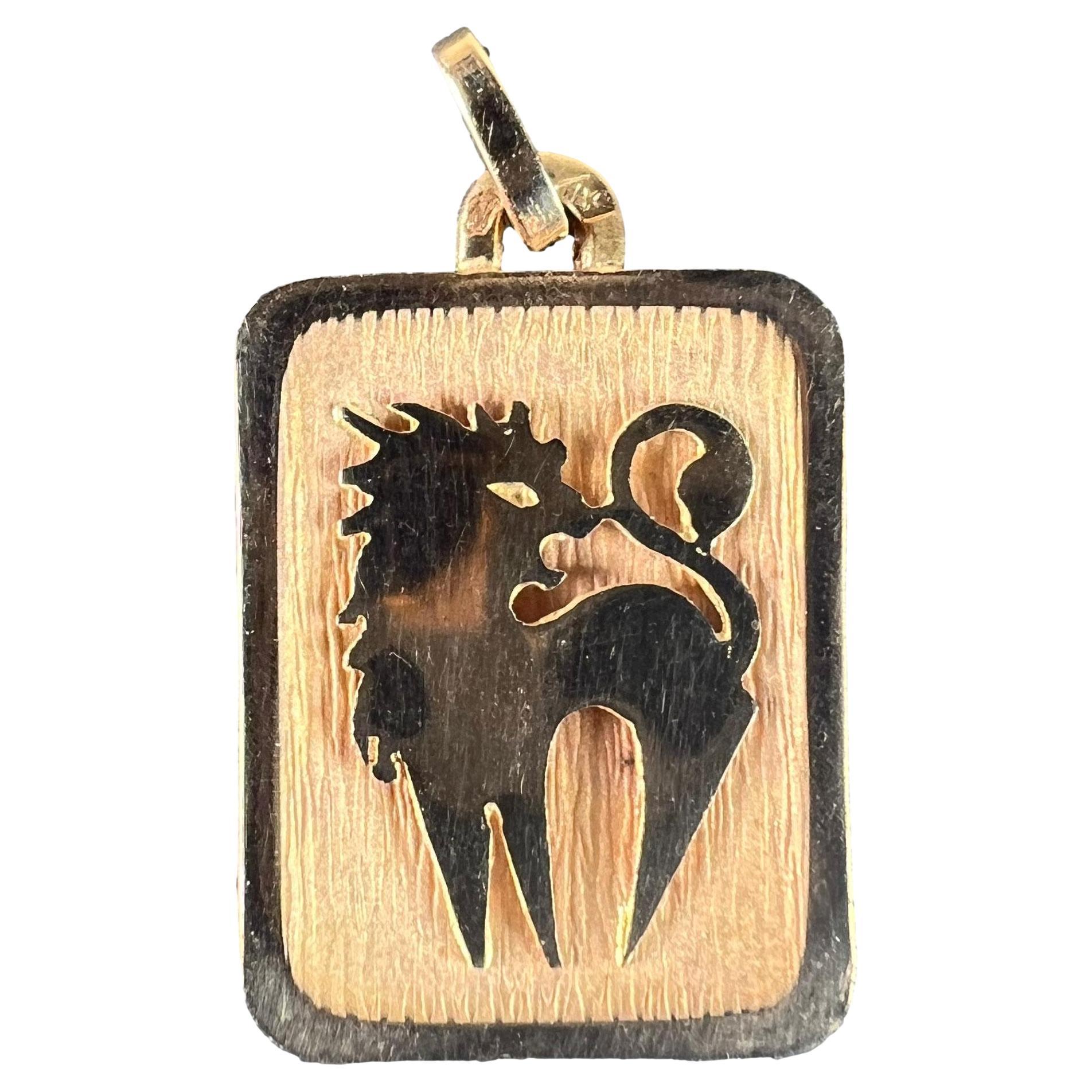 Ciondolo a forma di medaglia con charm in oro giallo 18 carati con il segno zodiacale del Leone in vendita