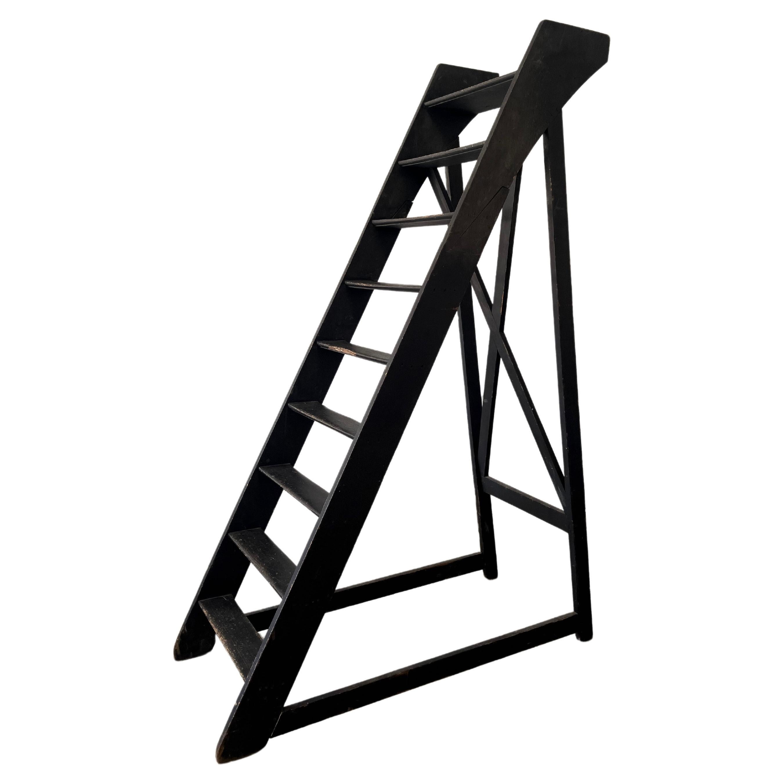 French Library Ladder, Early 20th Century For Sale