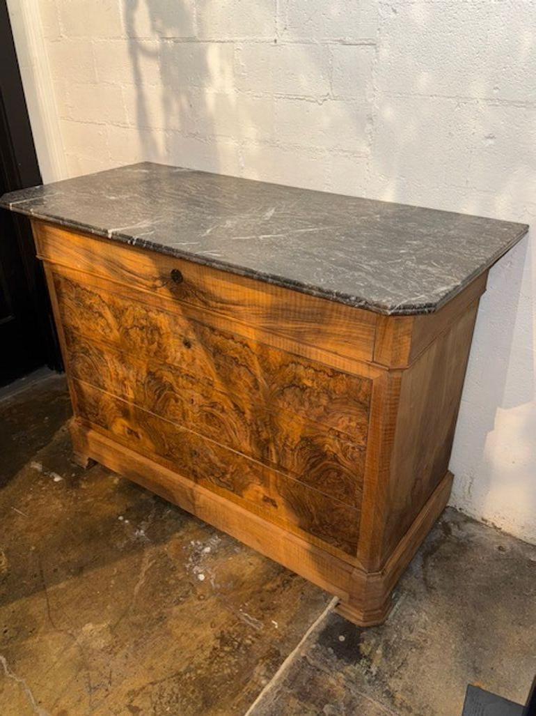 Las cómodas francesas de nogal Louis Philippe del siglo XIX son conocidas por sus líneas limpias, sus ricas vetas de madera y su diseño práctico pero refinado. Estas piezas suelen presentar chapas de nogal a juego, pies de ménsula y cajones de friso