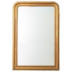 French Louis Philippe Gold-Gilt Mirror, Mid 19th Century