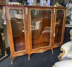 French Louis Philippe Kingwood Glazed Display Cabinet, c.1830