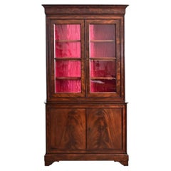 French Louis Philippe Mahogany Bibliotheque with Silk Interior