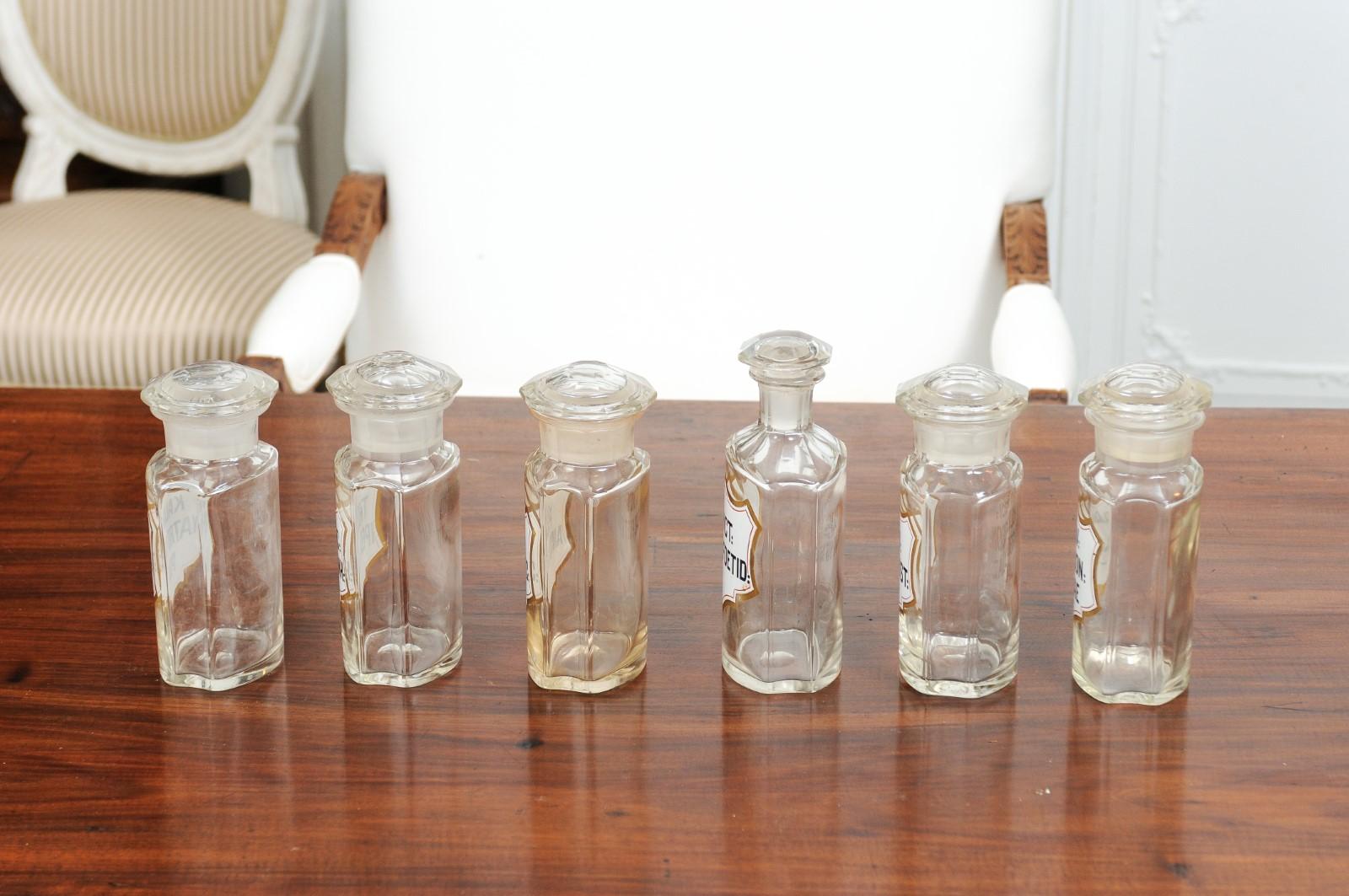 French Louis-Philippe Period 1840s Glass Apothecary Jars with Latin Labels For Sale 2