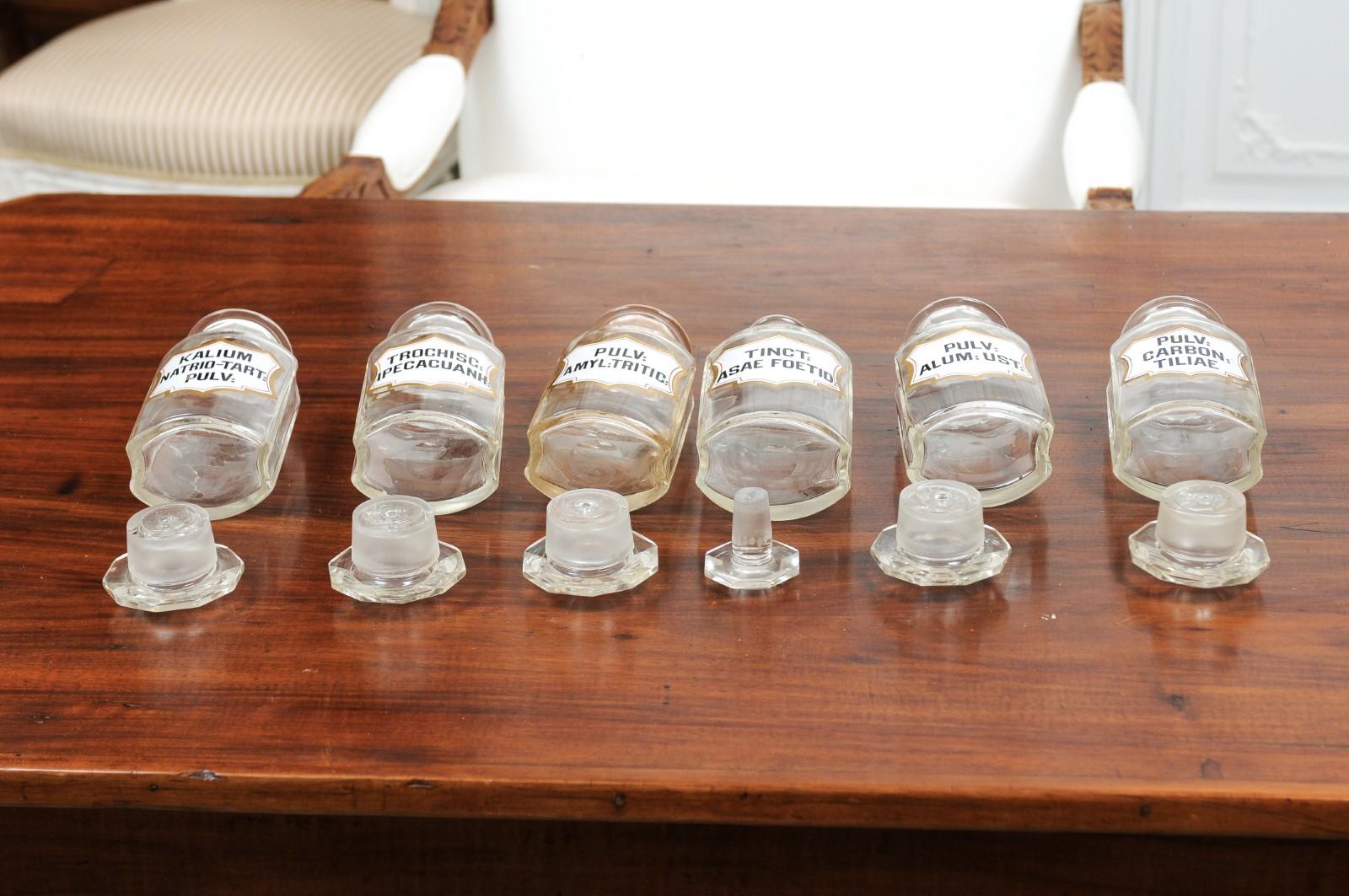 French Louis-Philippe Period 1840s Glass Apothecary Jars with Latin Labels For Sale 3