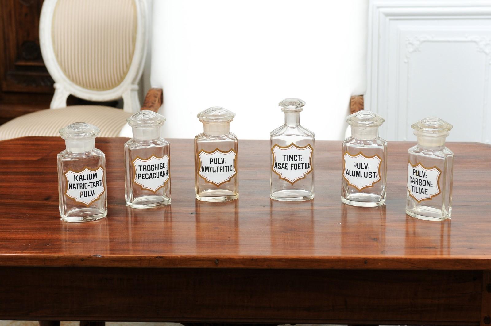 Français Pots d'apothicaire en verre d'époque Louis-Philippe des années 1840 avec étiquettes en latin en vente