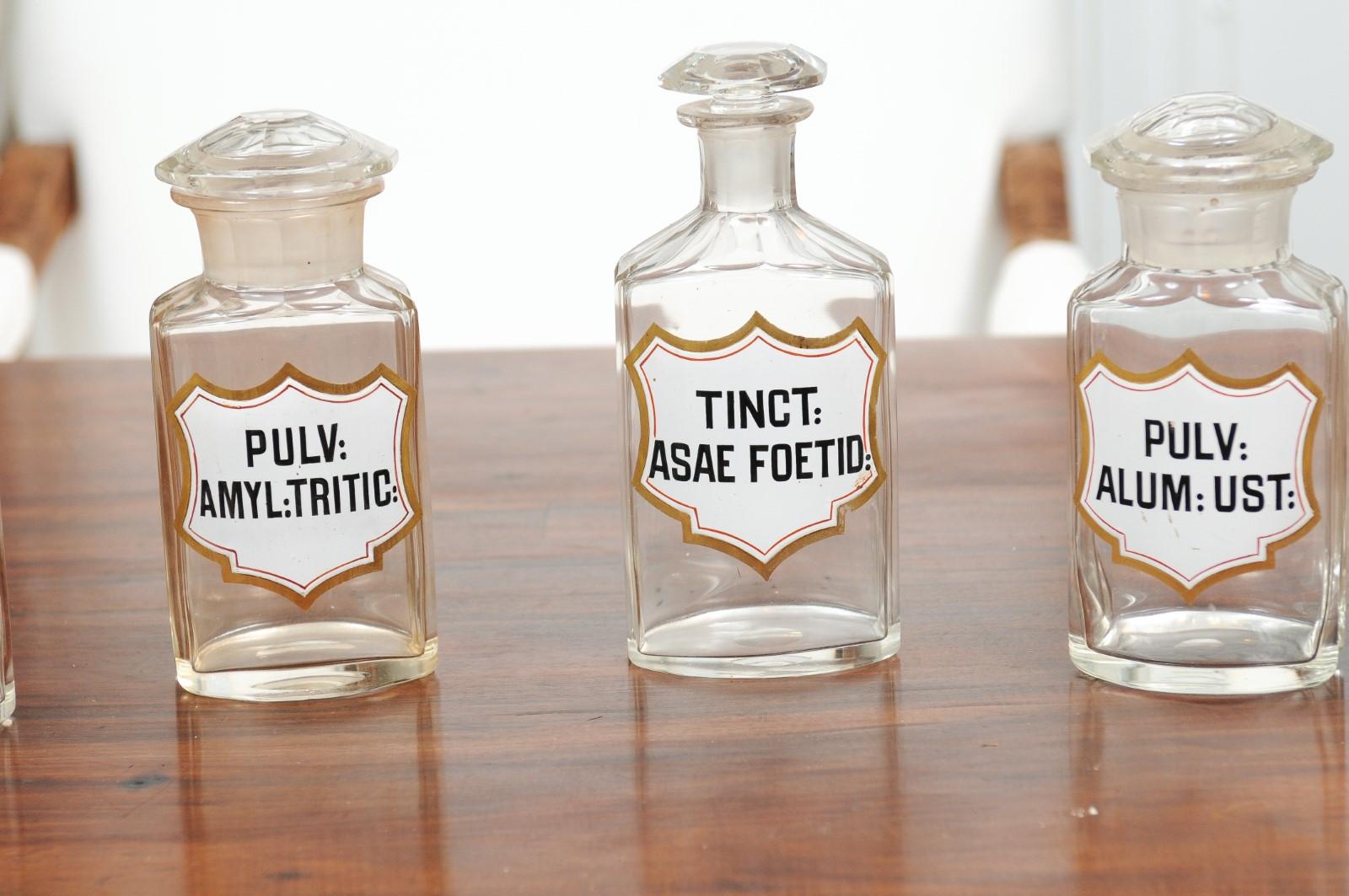 Verre Pots d'apothicaire en verre d'époque Louis-Philippe des années 1840 avec étiquettes en latin en vente