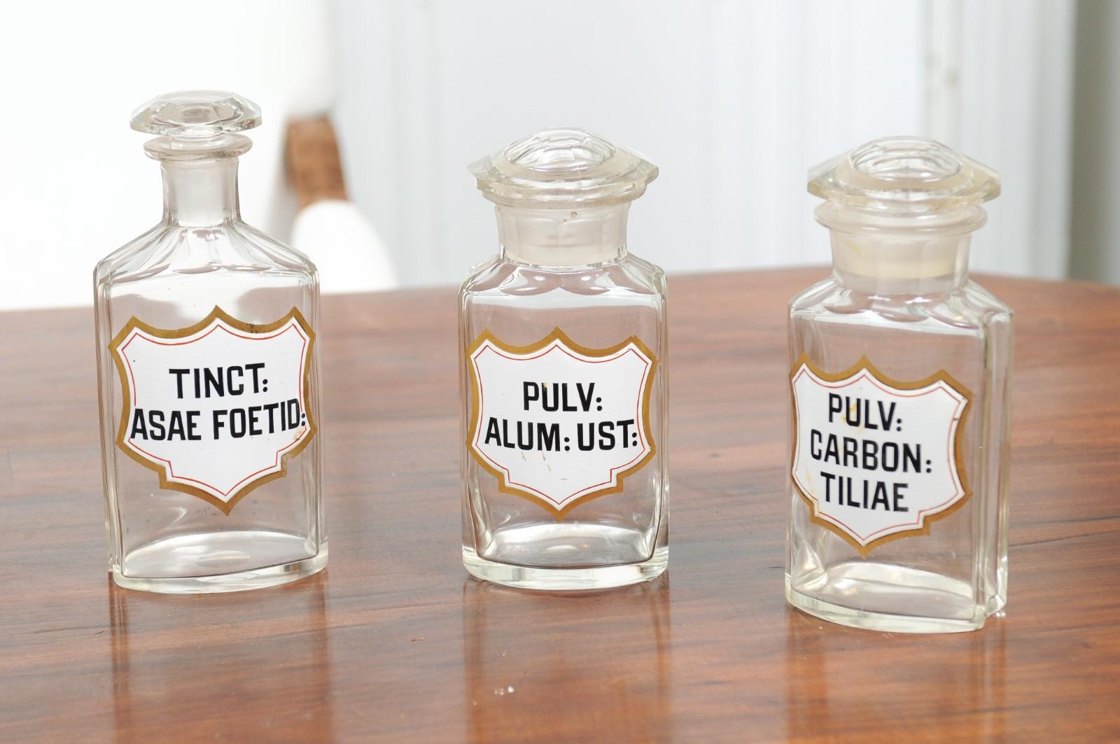 French Louis-Philippe Period 1840s Glass Apothecary Jars with Latin Labels In Good Condition For Sale In Atlanta, GA