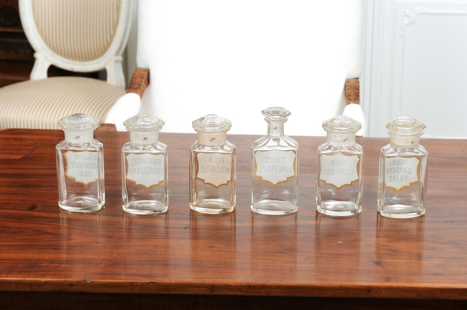 French Louis-Philippe Period 1840s Glass Apothecary Jars with Latin Labels For Sale 1
