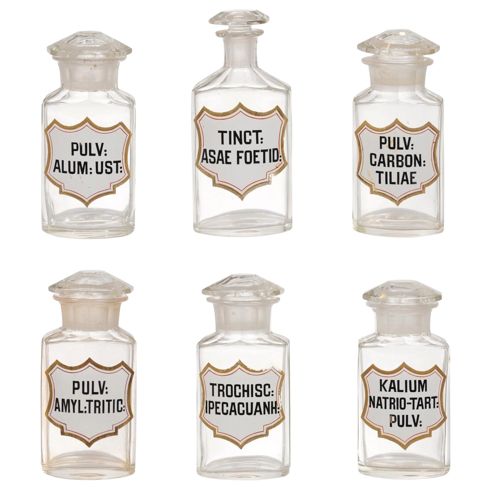 French Louis-Philippe Period 1840s Glass Apothecary Jars with Latin Labels