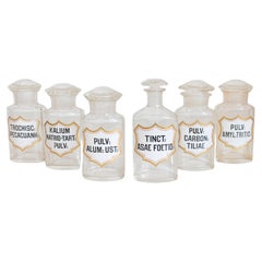 Antique French Louis-Philippe Period 1840s Glass Apothecary Jars with Latin Labels