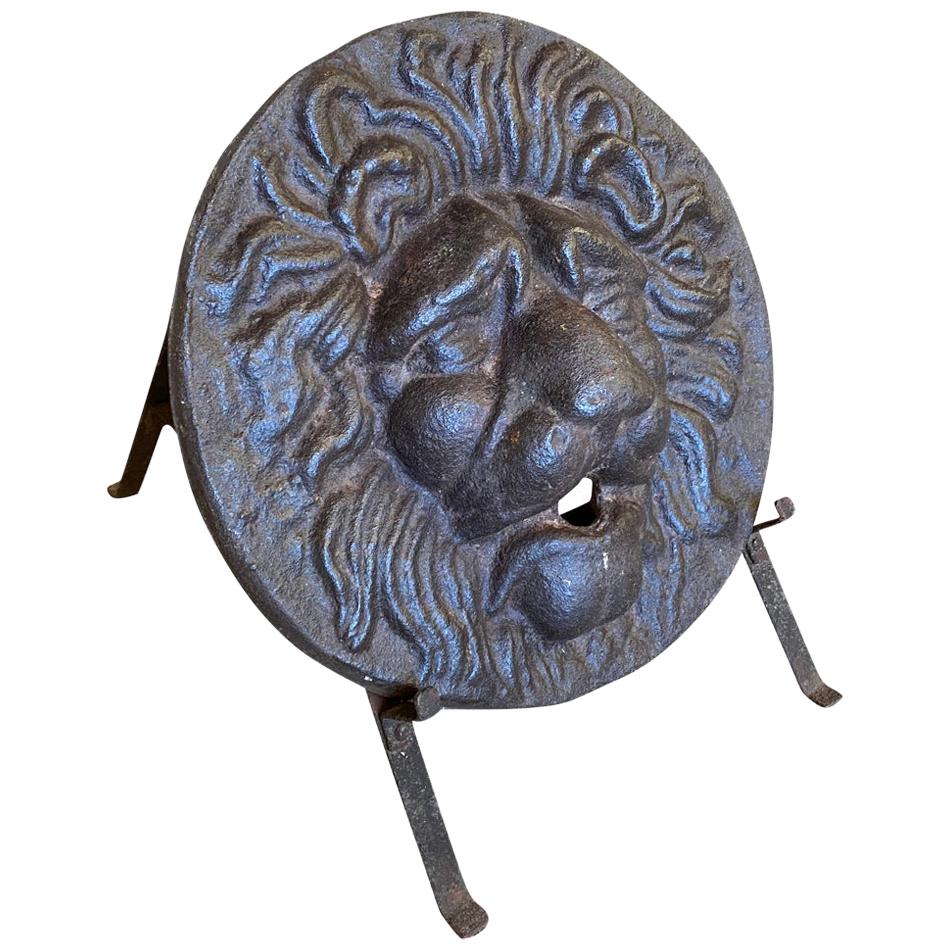 Französischer Brunnenkopf aus der Louis XIV-Periode