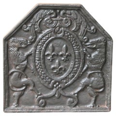 Plaque de cheminée française de style Louis XIV « Arms of France », 20e siècle