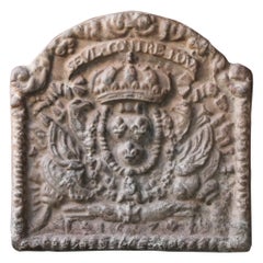 Respaldo / Revestimiento de chimenea francés estilo Luis XIV "Armas de Francia