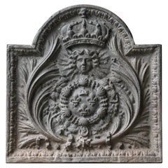 Respaldo / Revestimiento de chimenea francés estilo Luis XIV "Armas de Francia