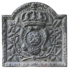 Respaldo / Revestimiento de chimenea francés estilo Luis XIV "Armas de Francia