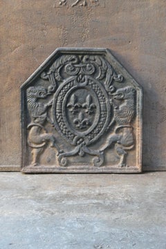 French Louis XIV Style Arms of France Fireback