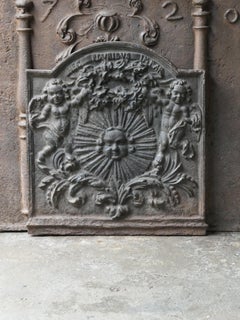 French Louis XIV Style 'Arms of France' Fireback