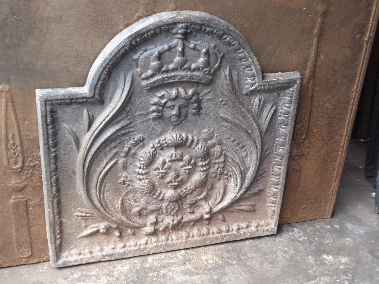 Cast French Louis XIV Style Arms of France Fireback / Backsplash For Sale