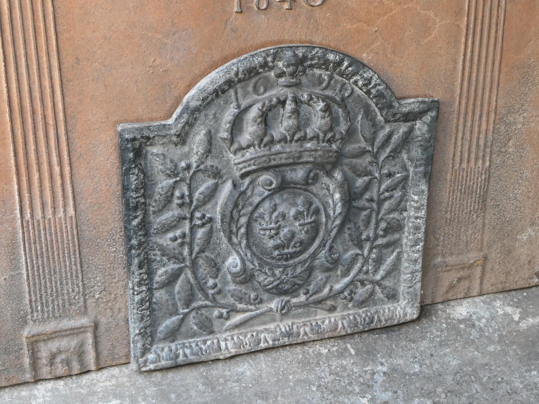 French Louis XIV Style 'Arms of France' Fireback / Backsplash For Sale 2