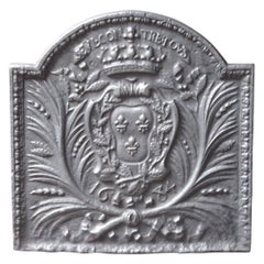 Vintage French Louis XIV Style 'Arms of France' Fireback