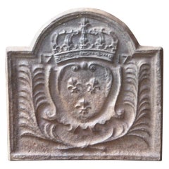 Vintage French Louis XIV Style 
Arms of France
 Fireback