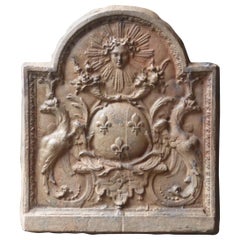 Vintage French Louis XIV Style 
Arms of France
 Fireback