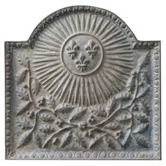 Vintage French Louis XIV Style 
Arms of France
 Fireback