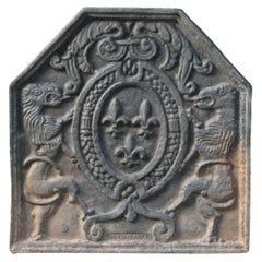 French Louis XIV Style Arms of France Fireback