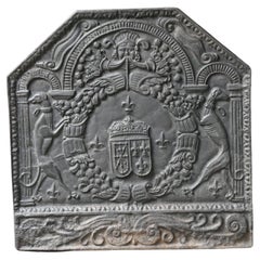 French Louis XIV Style Arms of France Fireback