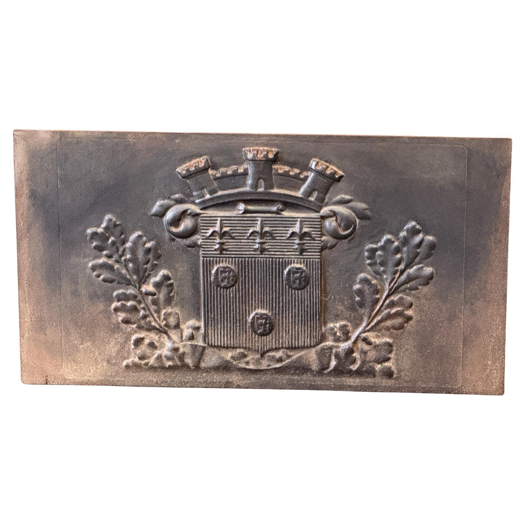 French Louis XIV Style 'Coat of Arms' Fireback / Backsplash, 20th Century For Sale