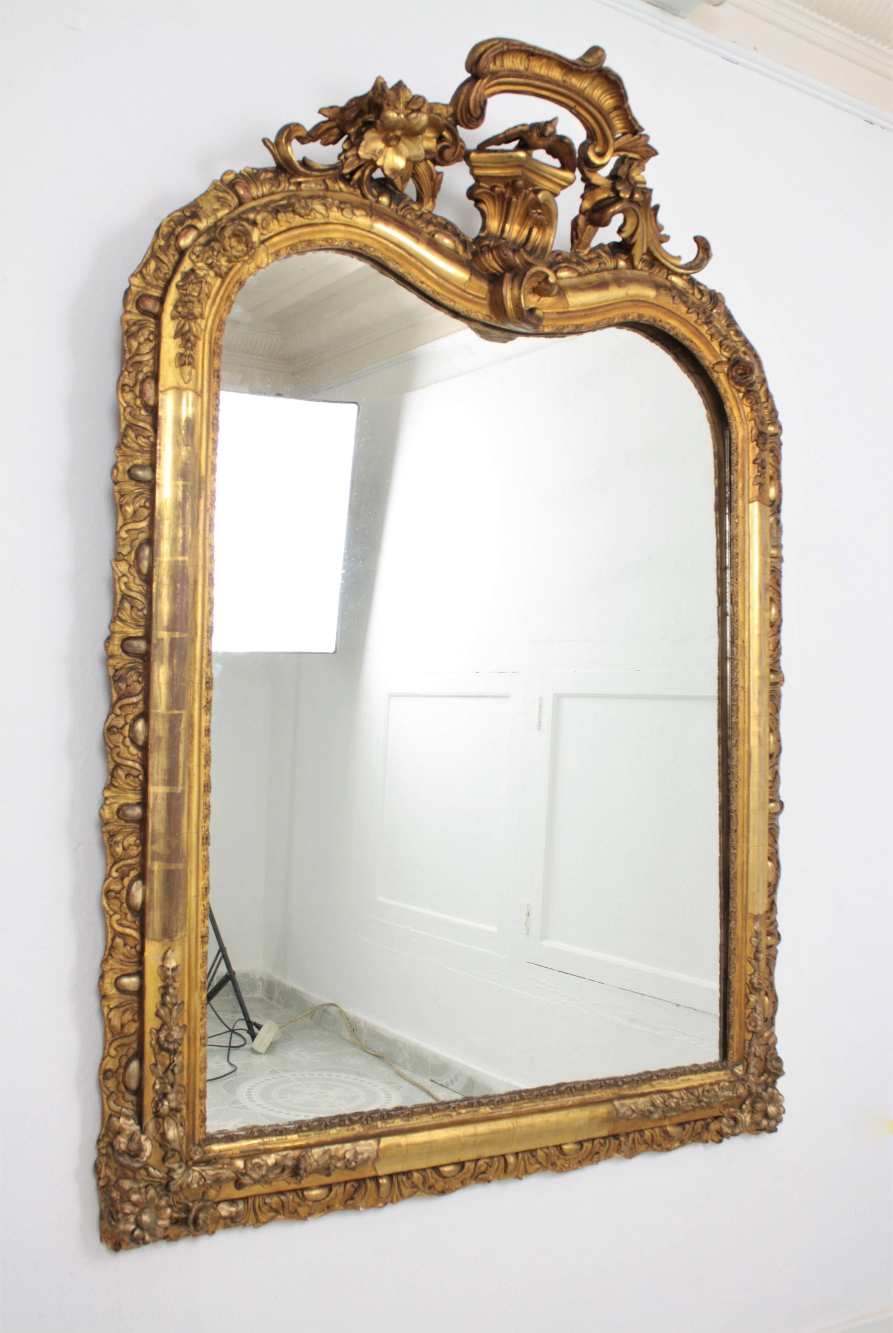 Spiegel aus geschnitztem vergoldetem Holz mit Wappen, Louis XV.-Stil (Französisch) im Angebot