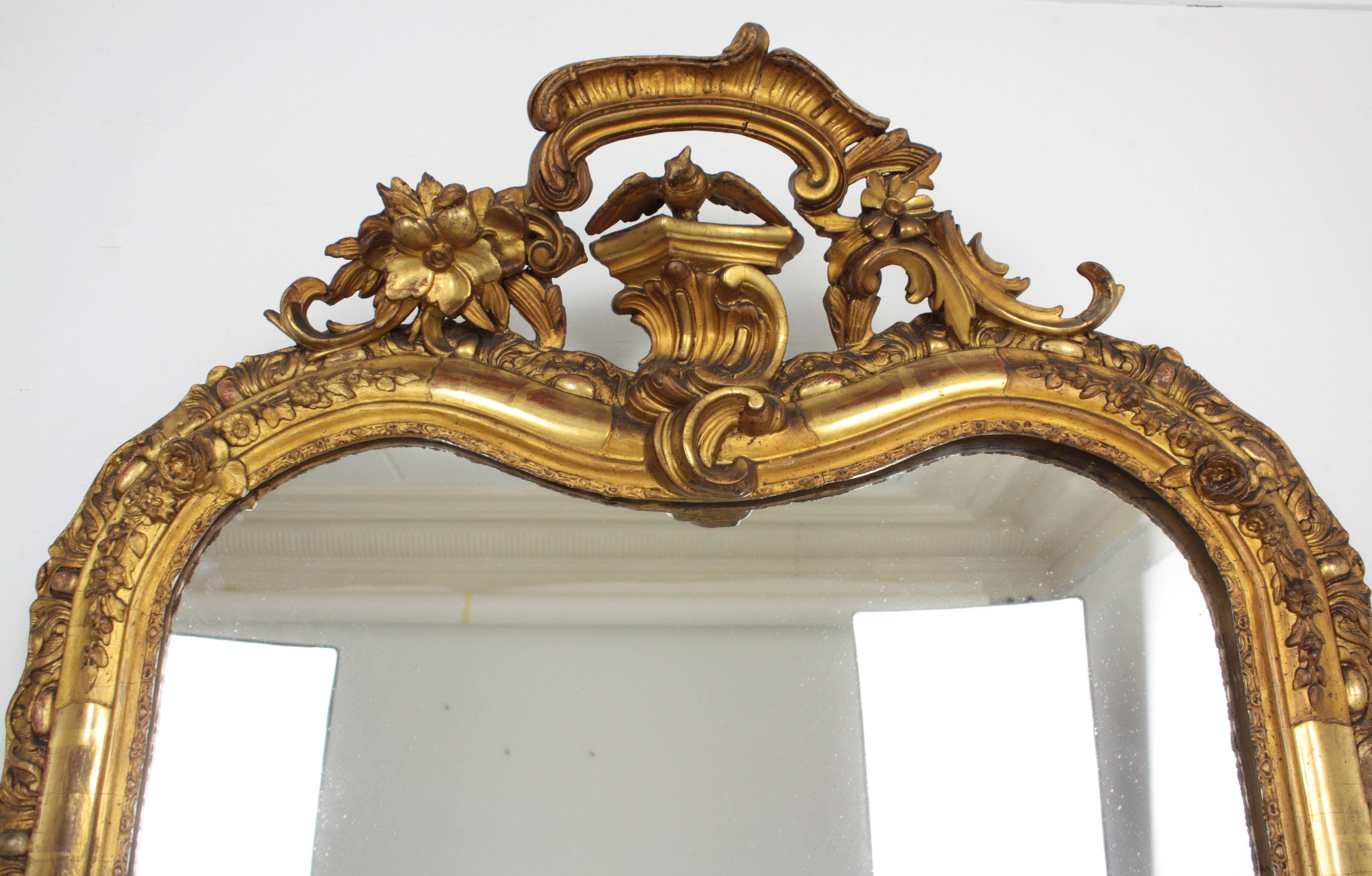 Wood French Louis XV Carved Giltwood Mirror with Crest For Sale
