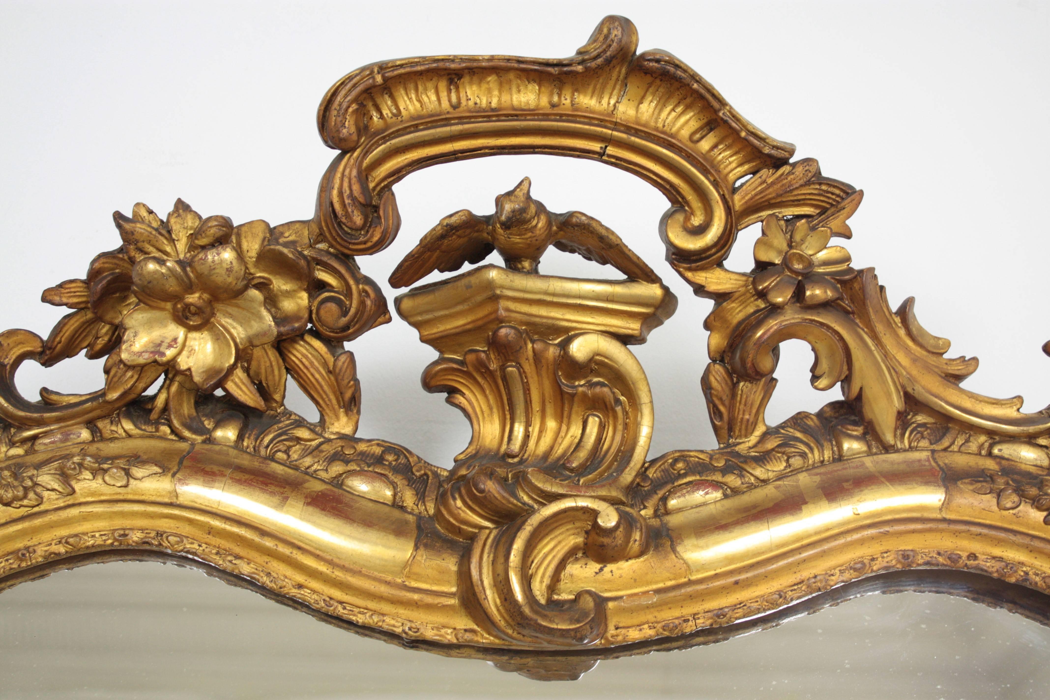 Spiegel aus geschnitztem vergoldetem Holz mit Wappen, Louis XV.-Stil (19. Jahrhundert) im Angebot
