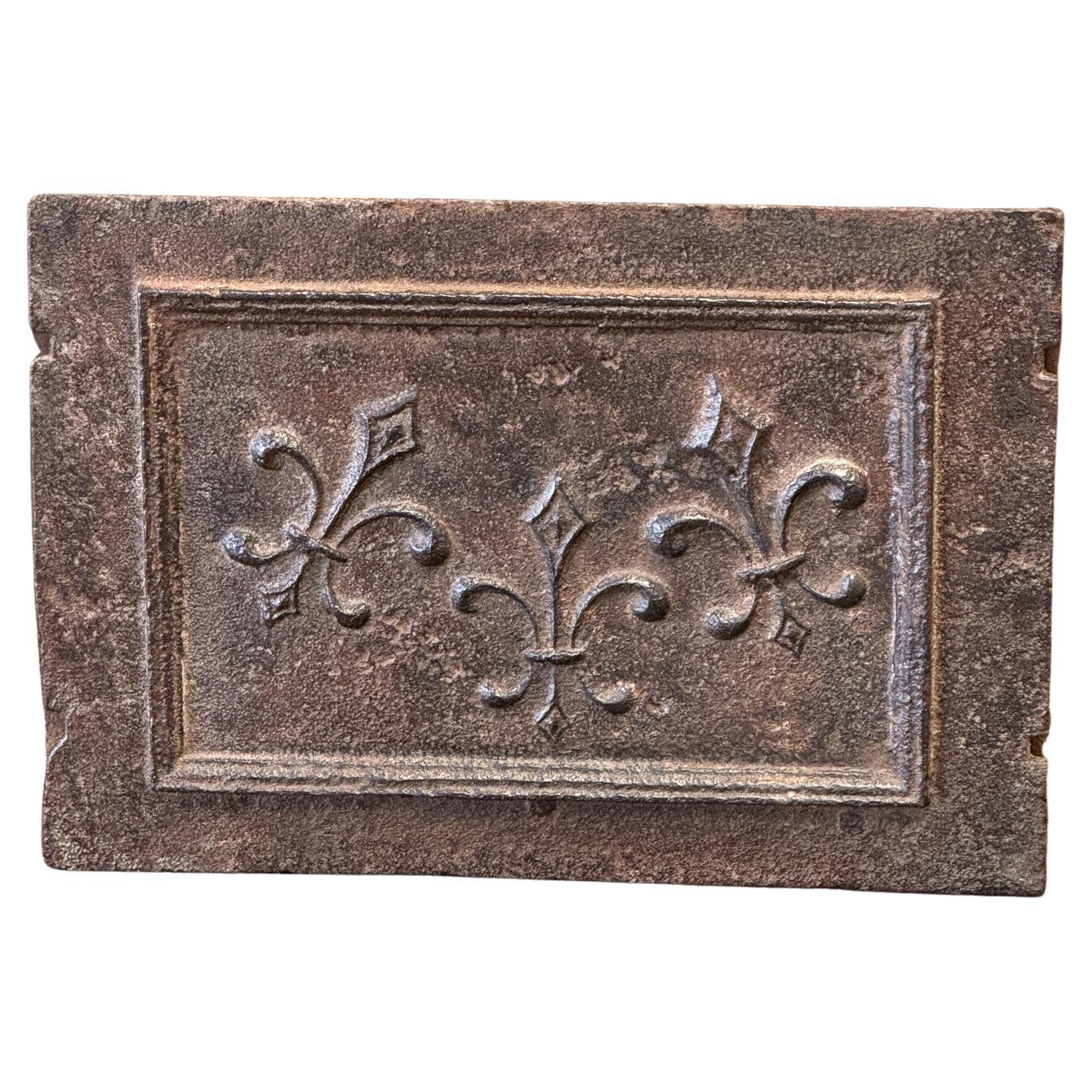 Parafuoco francese Luigi XV "Fleur De Lys", periodo 18° secolo