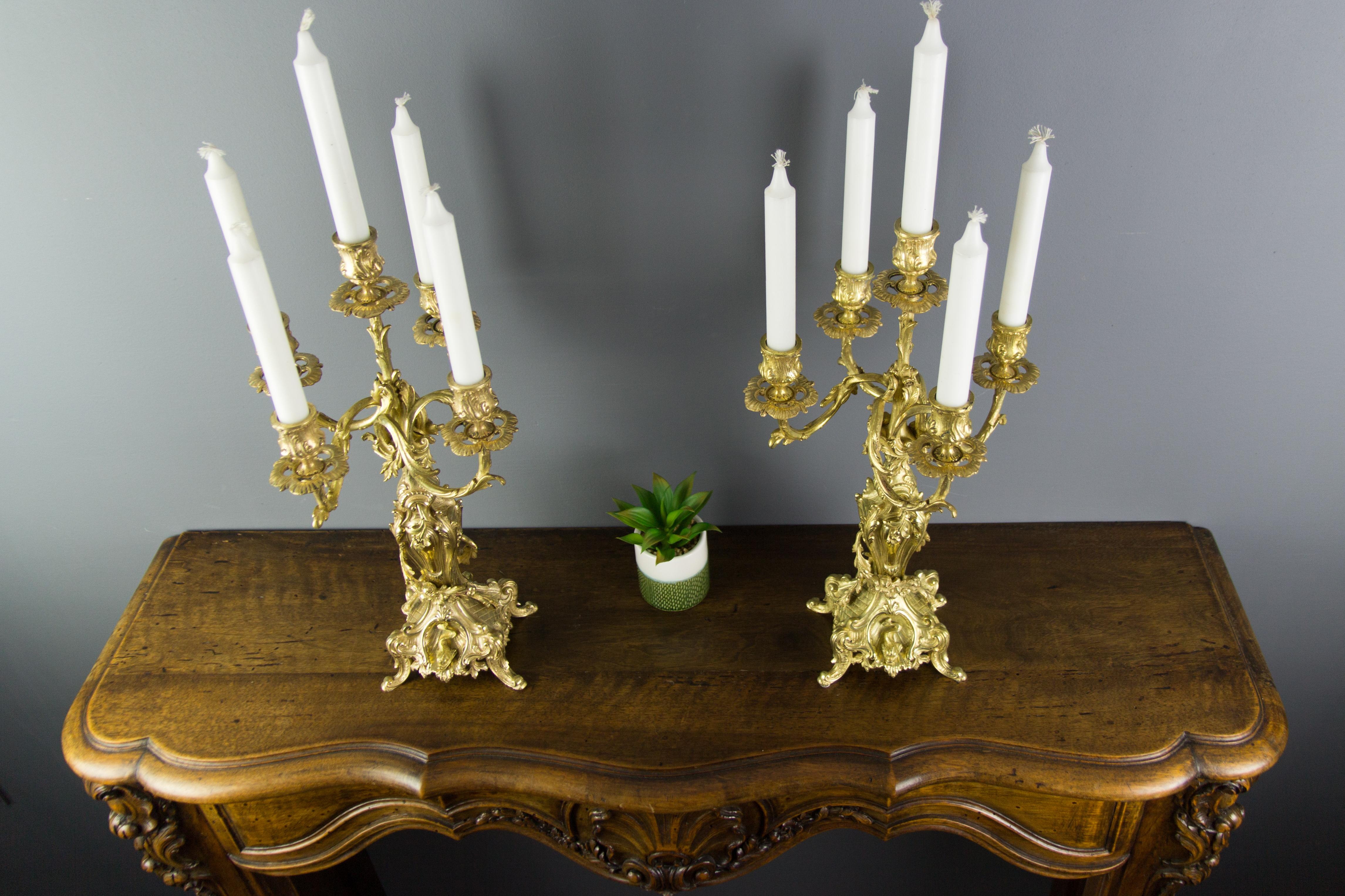French Louis XV or Rococo Style French Bronze Candelabras with Dolphins, a Pair For Sale 14
