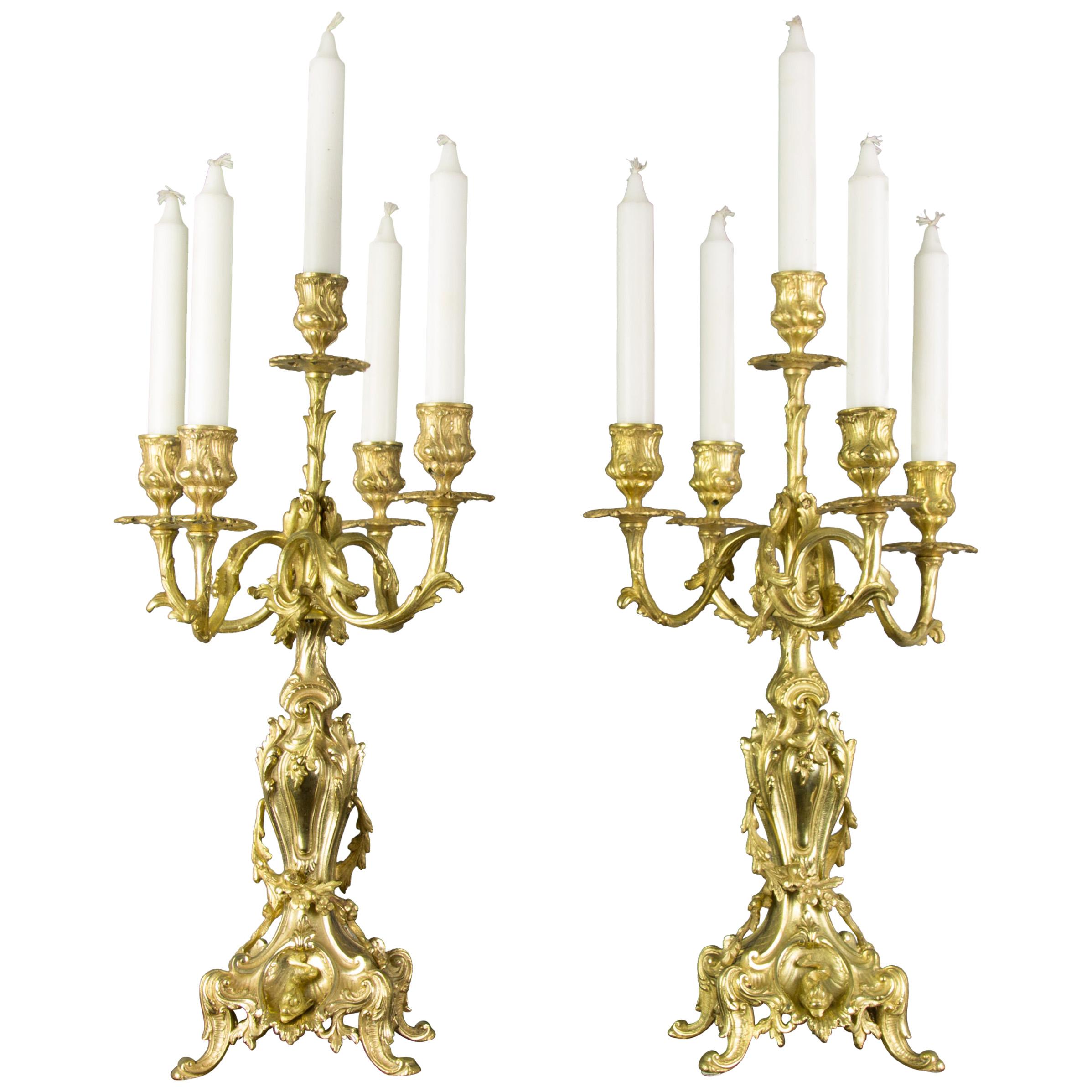 French Louis XV or Rococo Style French Bronze Candelabras with Dolphins, a Pair