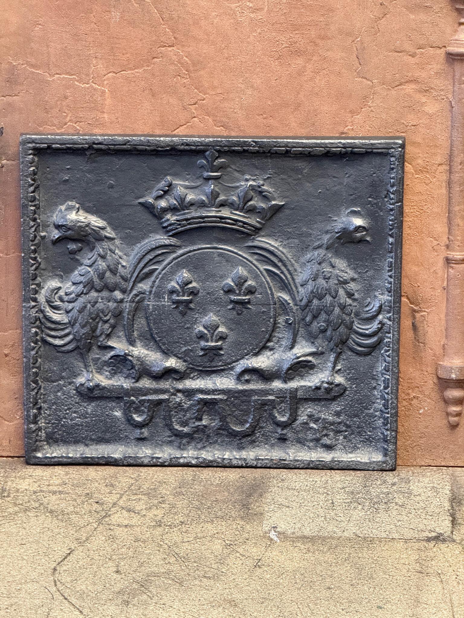 Caminetto francese del XVIII secolo del periodo Luigi XV con stemmi di Francia. Uno stemma della Casa di Borbone, una casa reale originaria della Francia che divenne una dinastia importante in Europa. La casa diede vita a re per la Spagna (Navarra),