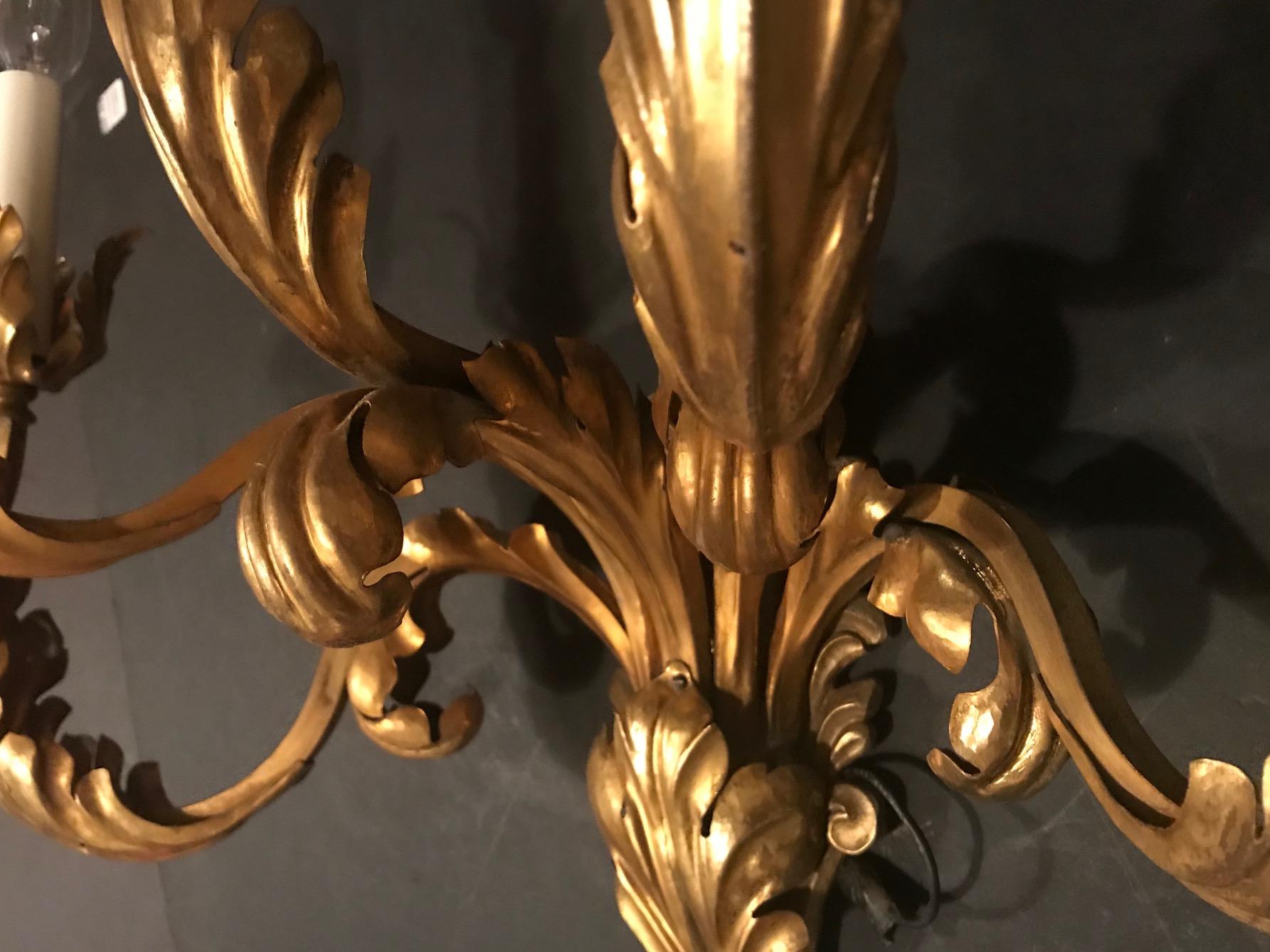 French Louis XV Style 5-Arm Gilt Bronze Sconce, Early 20th Century 3