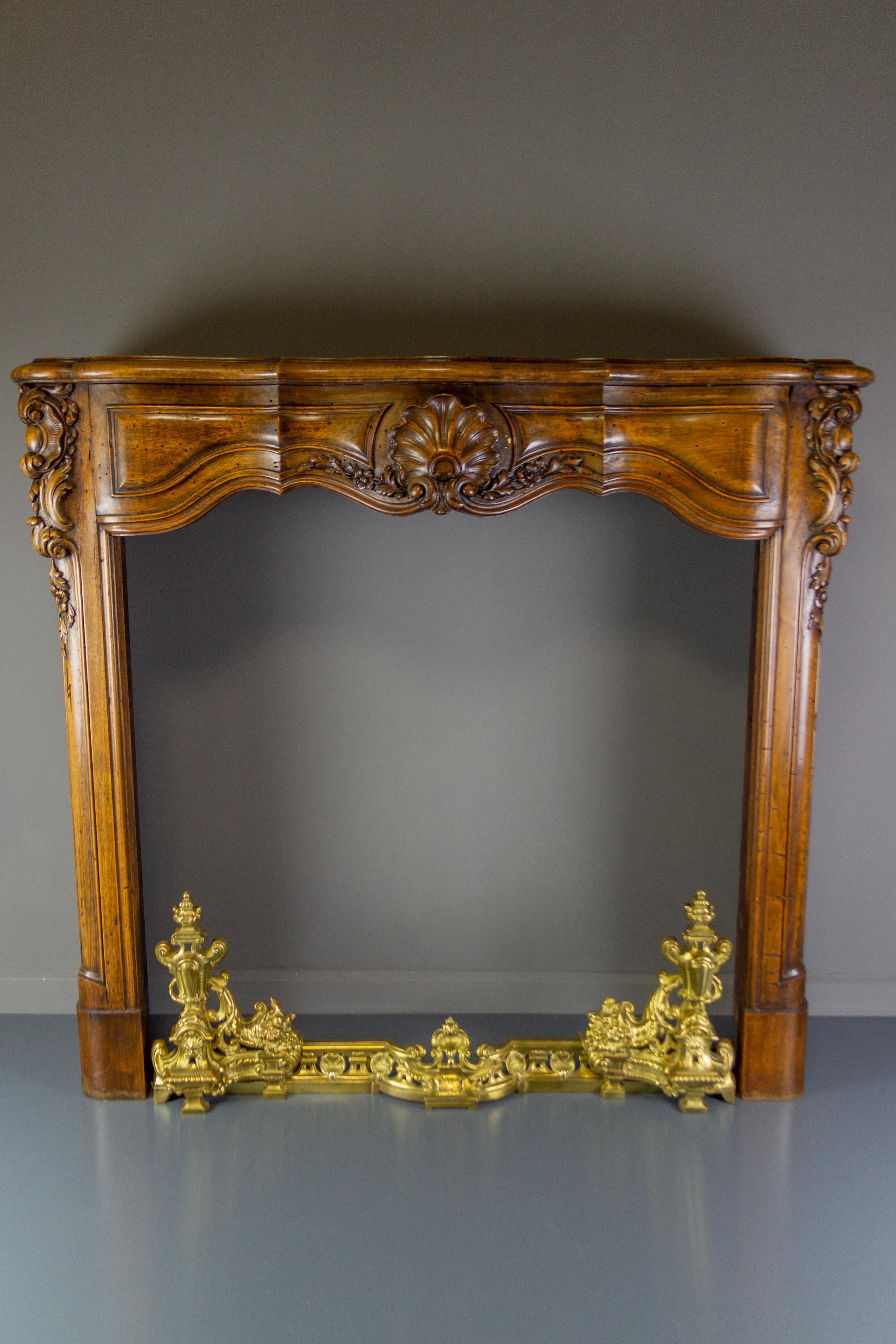 French Louis XV Style Bronze Adjustable Fireplace Fender, Late 19th Century 16