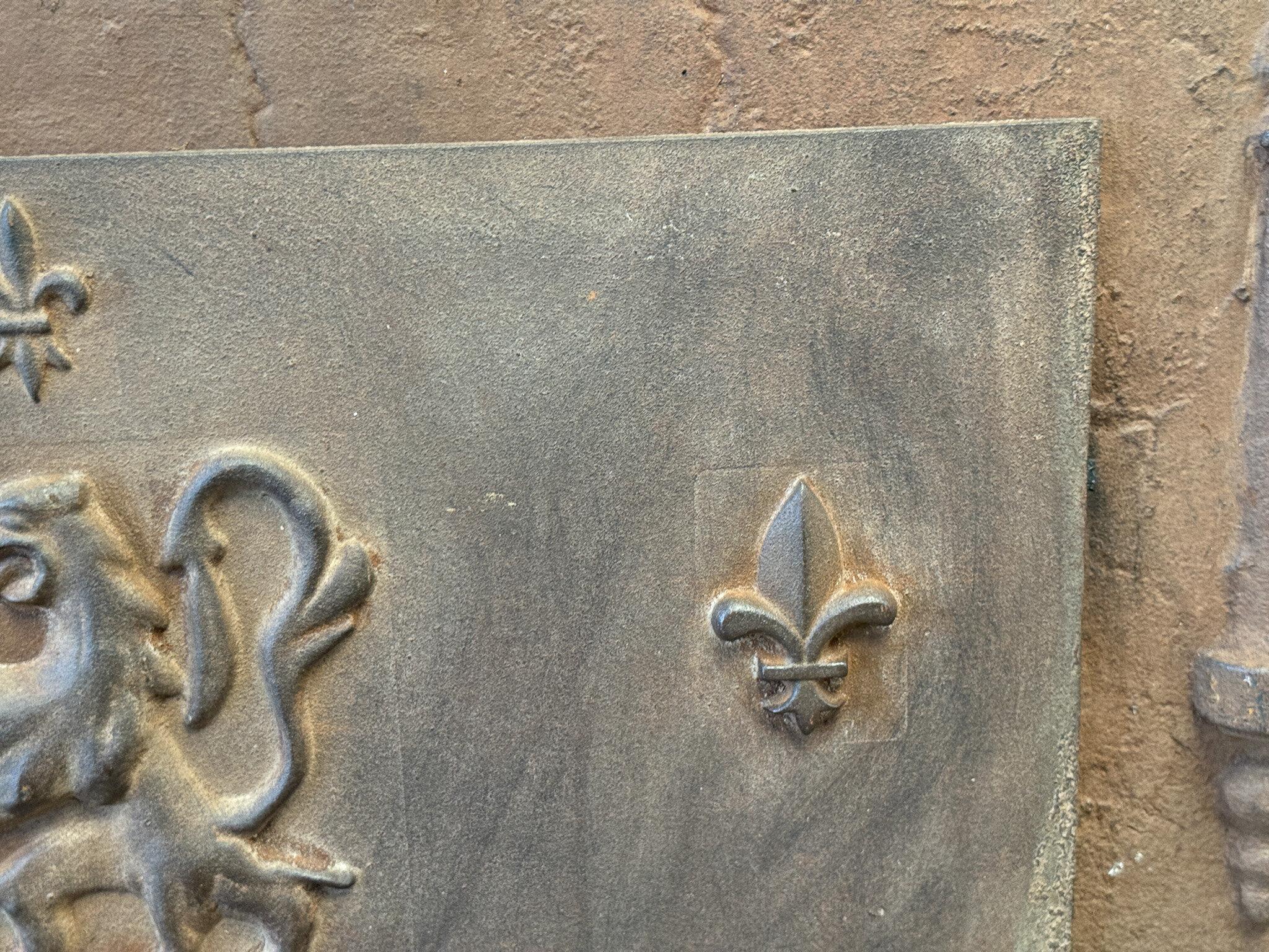 French Louis XV Style 'Coat of Arms' Fireback / Backsplash, 20th Century For Sale 3
