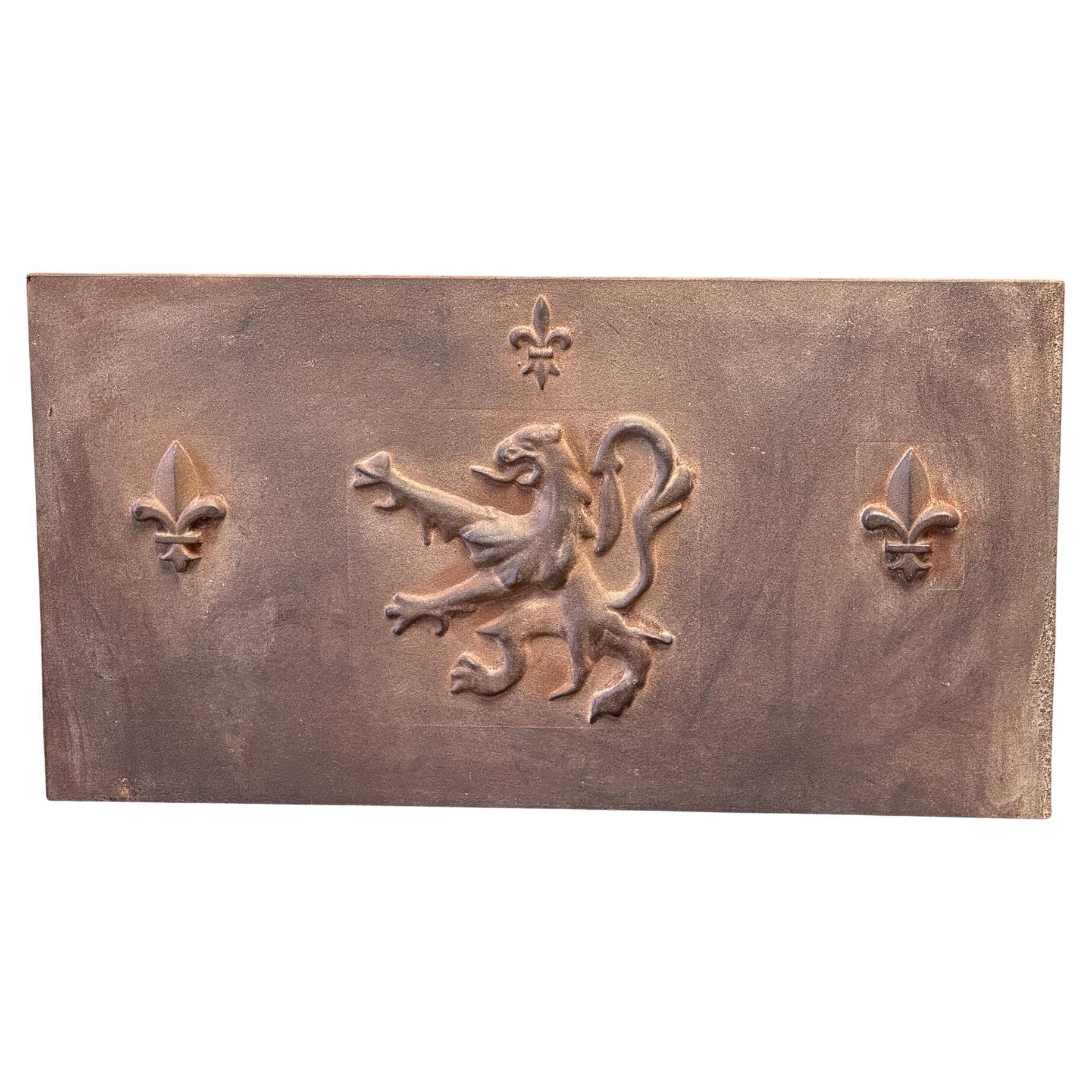 French Louis XV Style 'Coat of Arms' Fireback / Backsplash, 20th Century For Sale