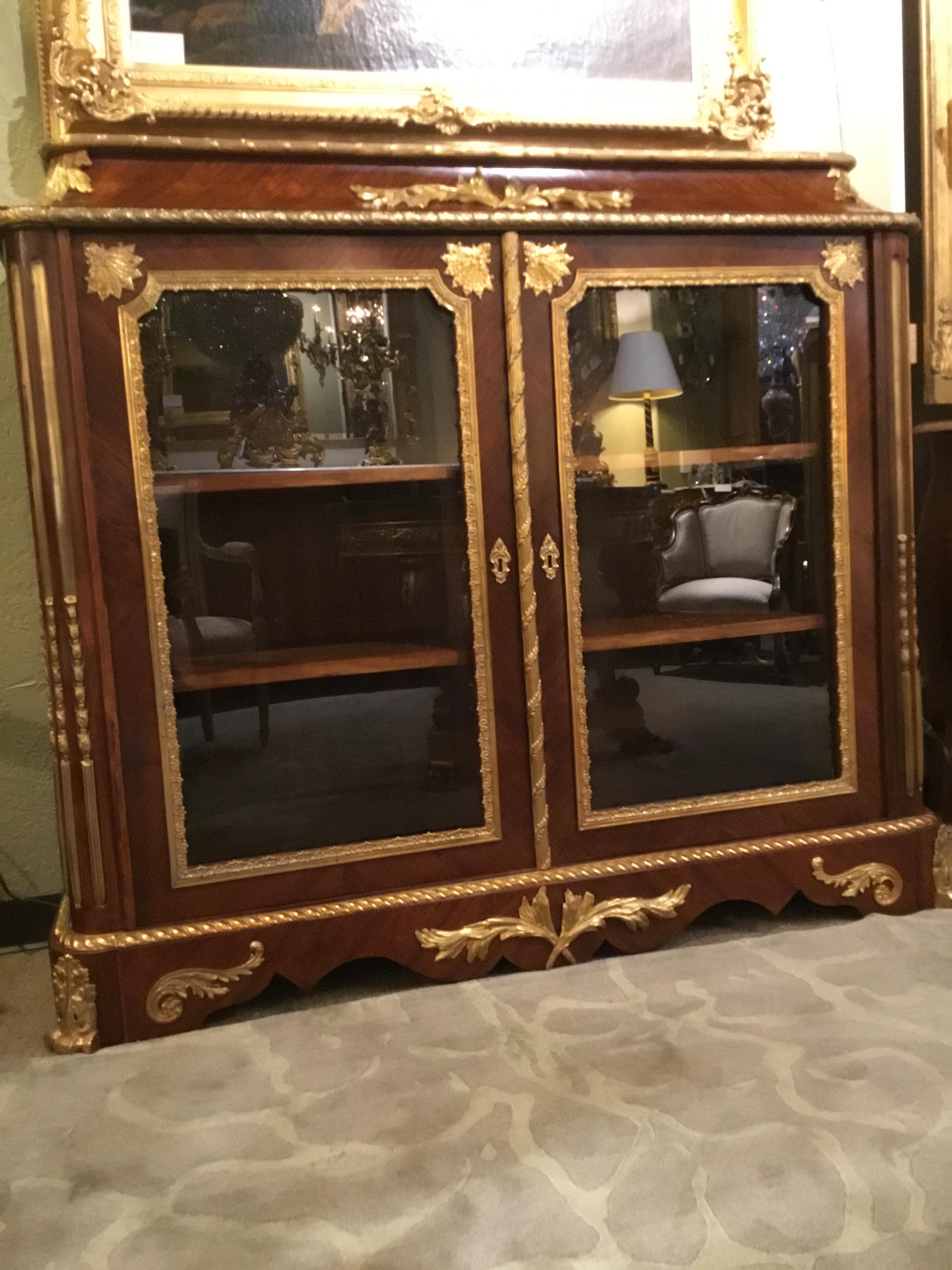 French Louis XV Style Gilt Bronze Mounted Two Door Vitrine/Bookcase 19th Century 6